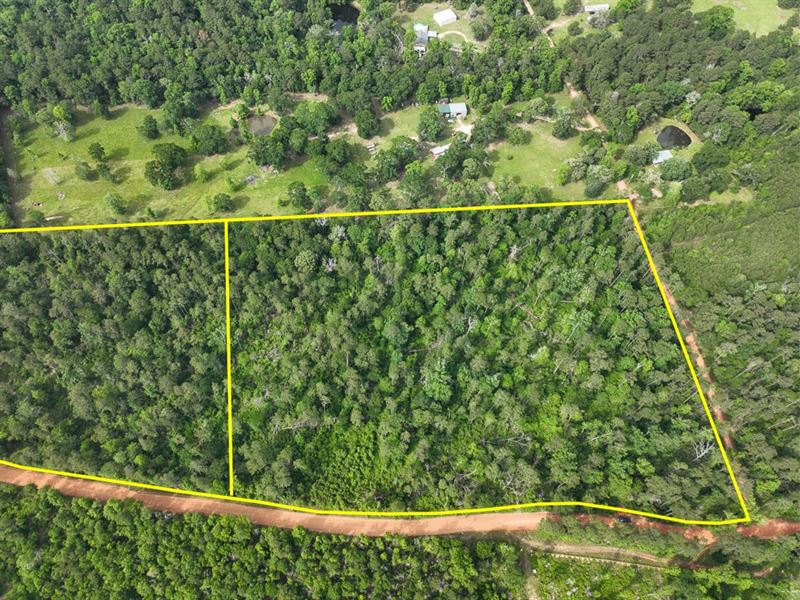 11.5 Acres, T-1, Salem Church Roa : Willis : San Jacinto County : Texas