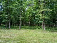 Quiet Country Living : Brandsville : Howell County : Missouri