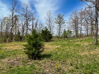 Beautiful Views All Around : Willow Spring : Texas County : Missouri