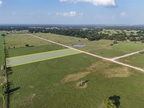 Ranch Land in Limestone, TX : Mexia : Limestone County : Texas