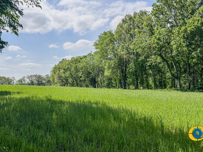 Red River Lot 3 : Cedar Hill : Robertson County : Tennessee