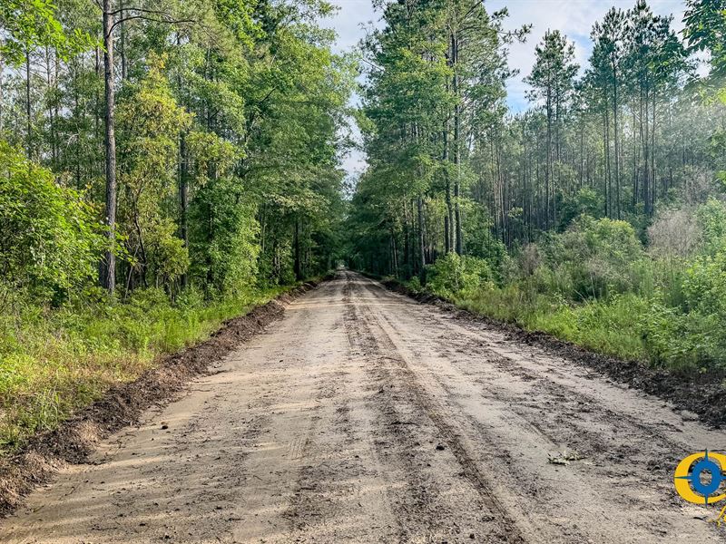 Sparks Lane : Jacksonboro : Colleton County : South Carolina