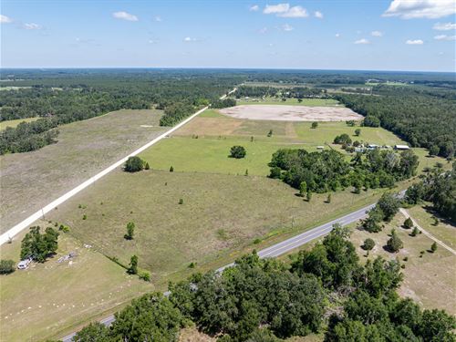 Beautiful 5 Acres : Live Oak : Suwannee County : Florida