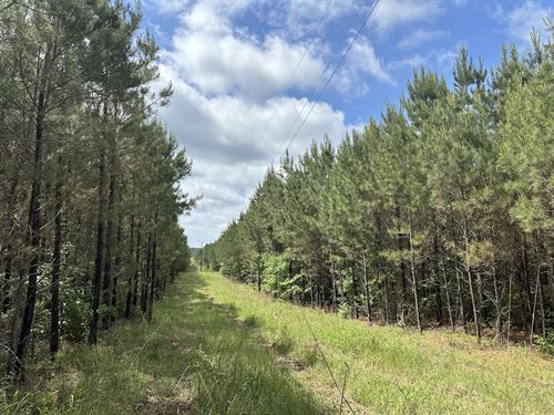 Spay Road West 8 Tract : McCool : Choctaw County : Mississippi