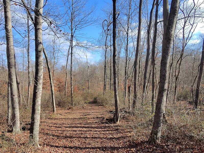 Tract 3, Sheridan Woods : Roseville : Perry County : Ohio