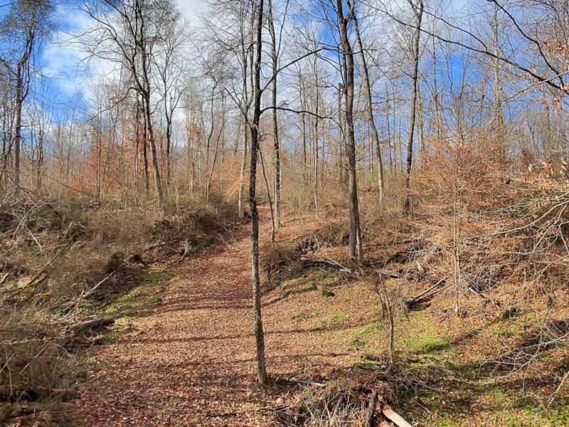 Tract 2, Sheridan Woods : Roseville : Perry County : Ohio
