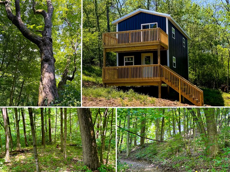 Albany Escape at Albany Woods : Albany : Meigs County : Ohio
