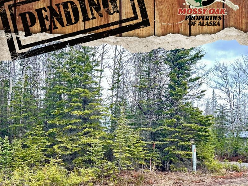 Sl25-10 33355 Green Lane Otna : Soldotna : Kenai Peninsula Borough : Alaska