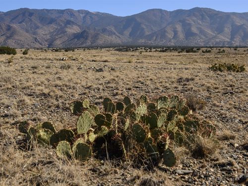 Mountain Dreams All To Yourself : Belen : Valencia County : New Mexico