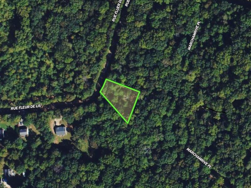 .39 Acre Lot in Lavonia, GA : Lavonia : Franklin County : Georgia