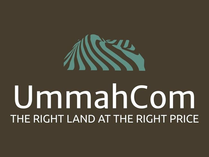 Attractive Wooded Lake Cortez : Hot Springs Village : Saline County : Arkansas