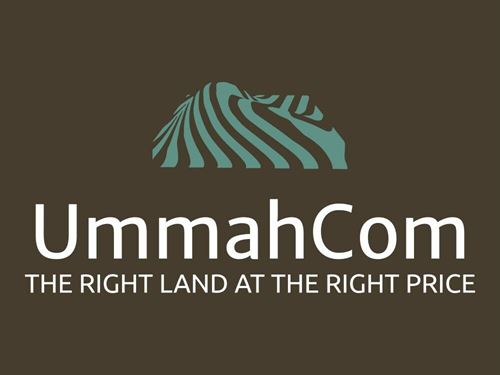 Attractive Wooded Lake Cortez : Hot Springs Village : Saline County : Arkansas