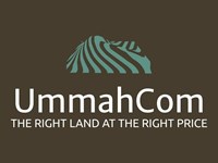 Attractive Wooded Lake Cortez : Hot Springs Village : Saline County : Arkansas