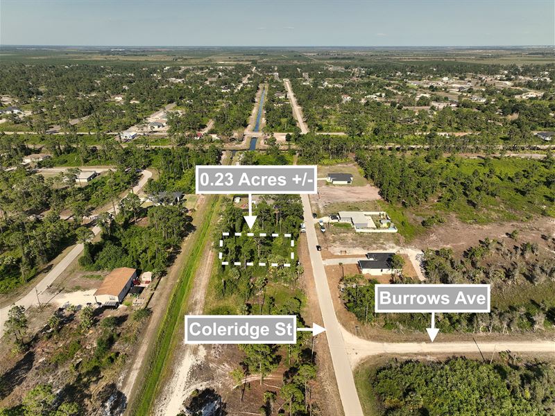 Canal Front 0.23 Acres of Land : Lehigh Acres : Lee County : Florida