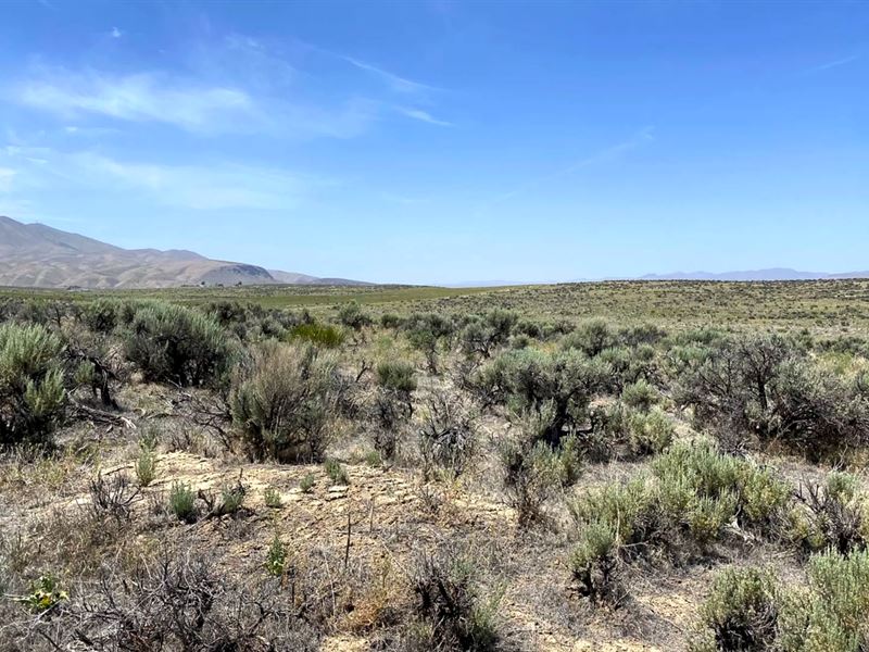 Limitless Outdoor Freedom, $150/Mo : Ryndon : Elko County : Nevada