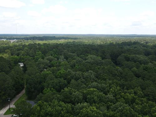 3.856 Acres in Polk County TX : Livingston : Polk County : Texas