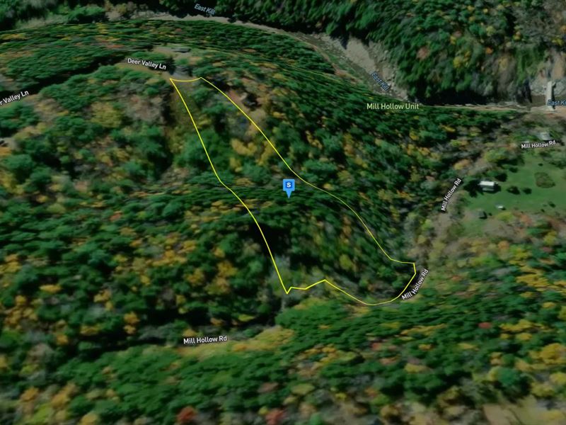 2.9 Acres in Greene County NY : Jewett : Greene County : New York