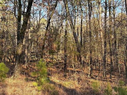 Exceptional Quarter Acre Homesite : Fairfield Bay : Van Buren County : Arkansas