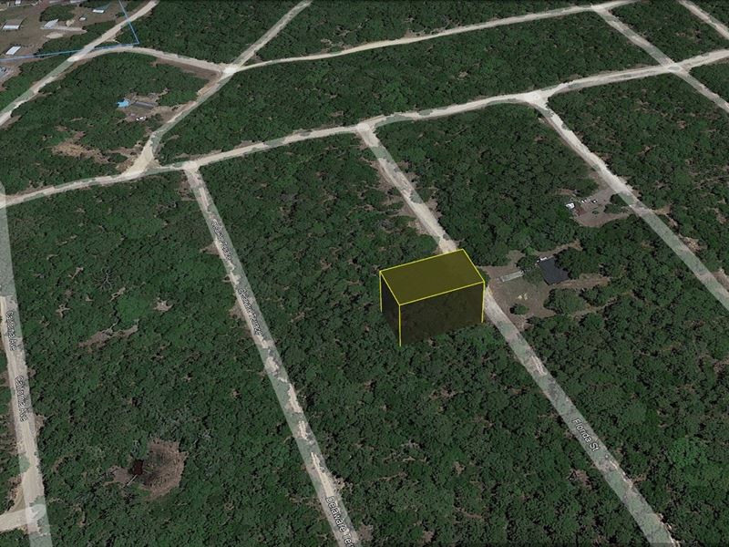 Peace & Privacy for $149 Down : Interlachen : Putnam County : Florida