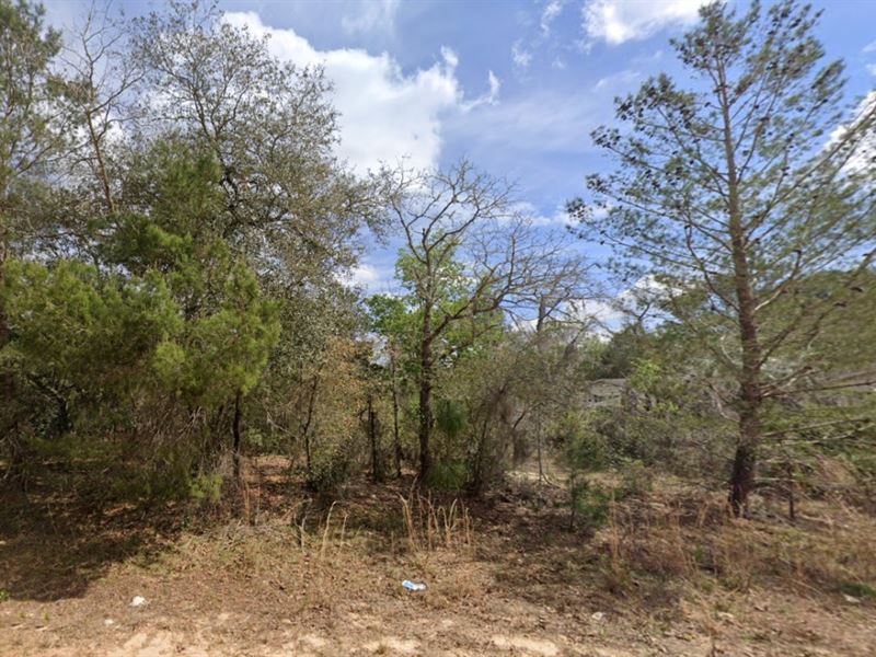 Duplex-Ready Lot in FL $199 Down : Interlachen : Putnam County : Florida