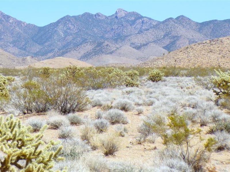 Driveway, Fencing, Water Tanks : Dolan Springs : Mohave County : Arizona
