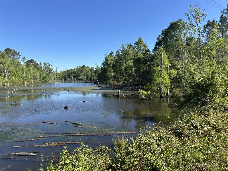 Owner Financed with Pond Access : Midville : Burke County : Georgia