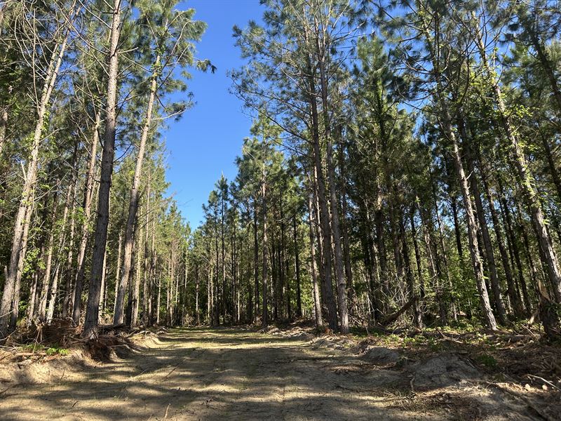 Owner Financed with Homesite : Midville : Burke County : Georgia