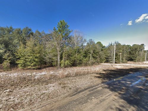 Own Land Close to The Lake : Interlachen : Putnam County : Florida