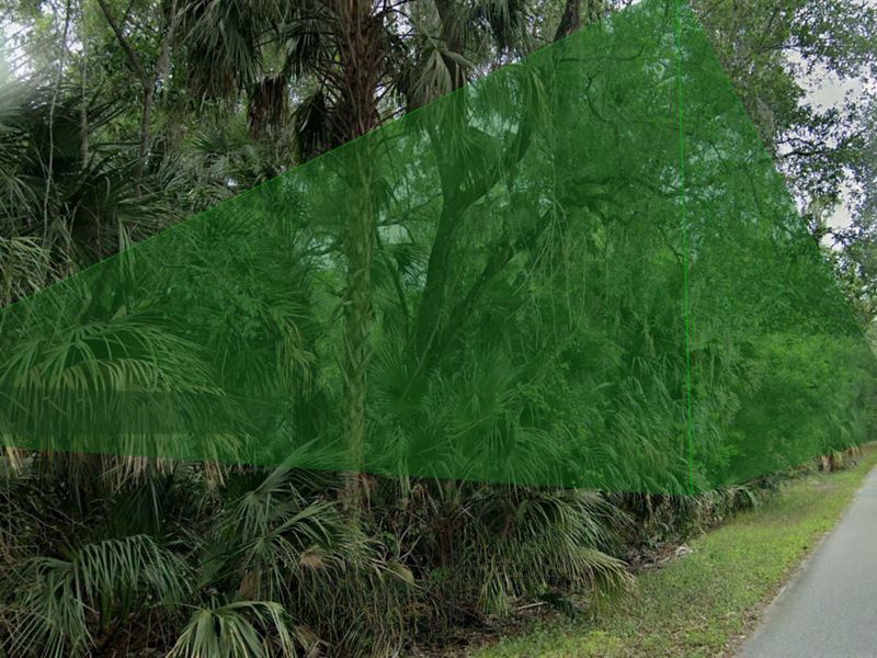 Land in Florida's Nature Coast : Crystal River : Citrus County : Florida