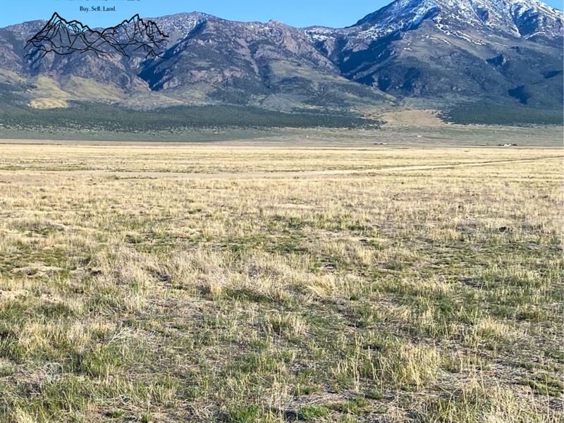 Land Made Easy 10 Acres, Easy Term : Montello : Elko County : Nevada