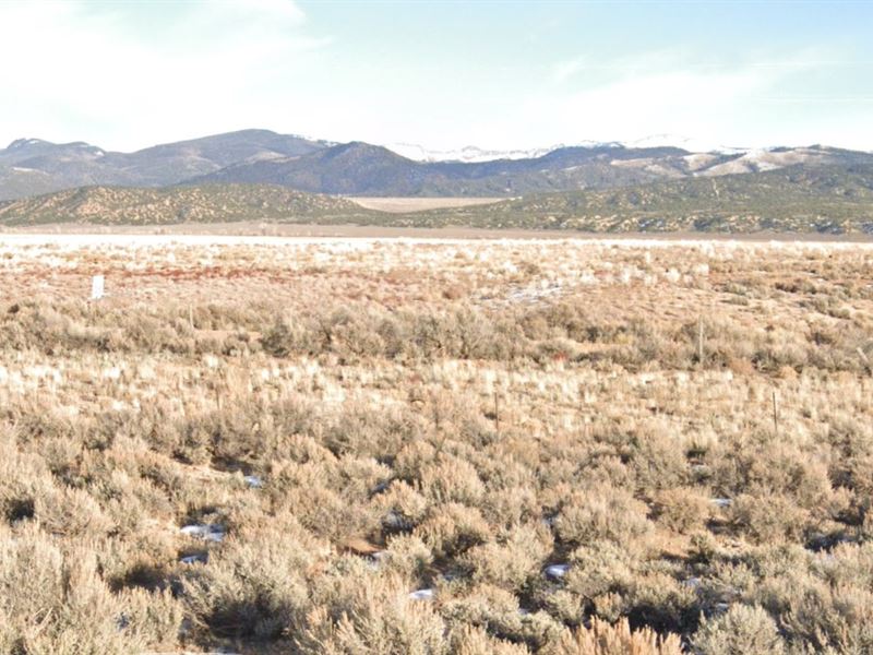 4.8 Acres of Costilla, Cos Finest : Blanca : Costilla County : Colorado