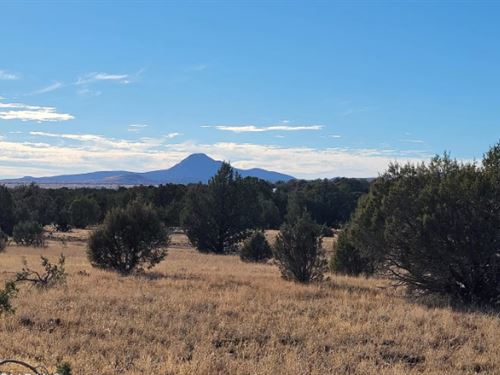 Own, Build, Thrive for $275-450/Mo : Williams : Coconino County : Arizona