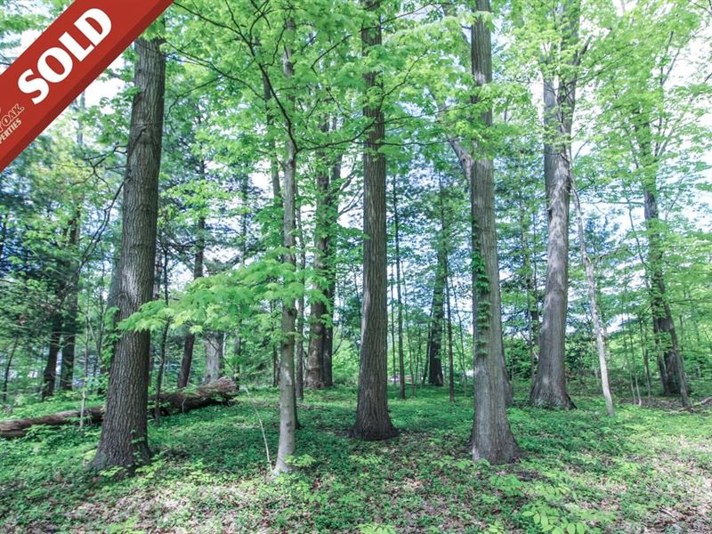 Norton Rd, 6 Acres, Summit County : Hudson : Summit County : Ohio