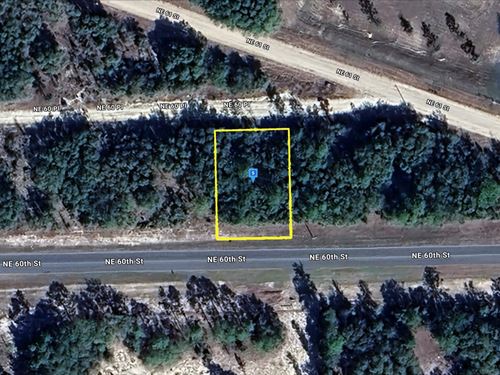 $421.75 Down, Great Location : Bronson : Levy County : Florida