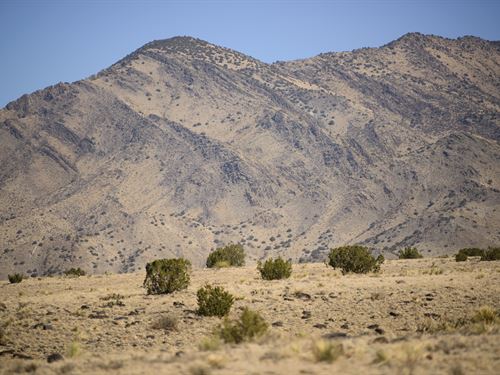 Where Silence Meets The Summit : Belen : Valencia County : New Mexico