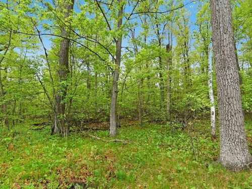 Secluded, Side-By-Side Lots $125/M : Cushing : Morrison County : Minnesota