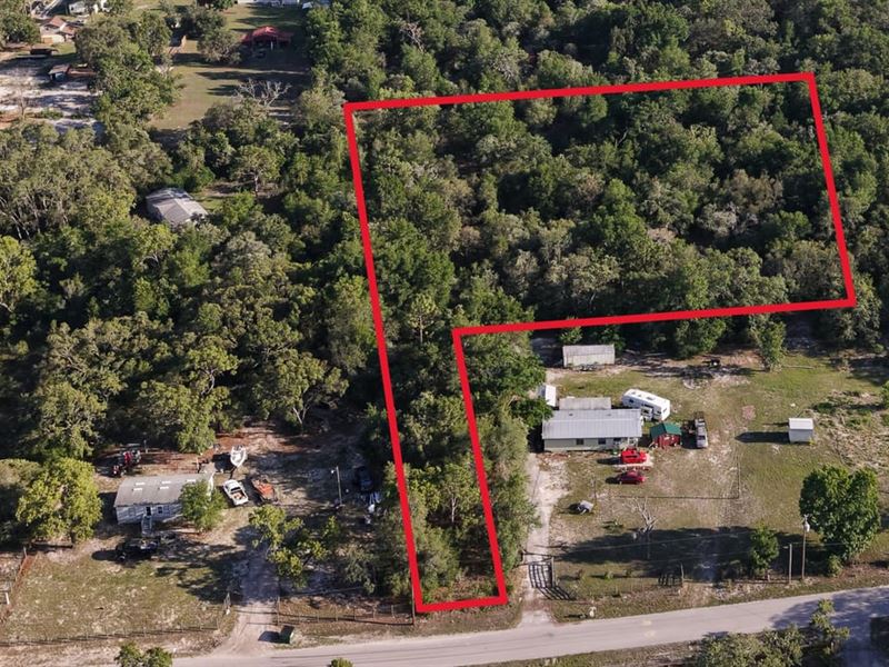 2.78 Acres in Spring Hill, FL : Spring Hill : Hernando County : Florida