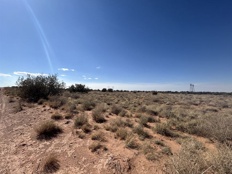 Your Own Slice of High Desert Haven : Snowflake : Navajo County : Arizona