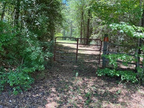 Poorhouse Rd Lot 3 : Greenville : Butler County : Alabama