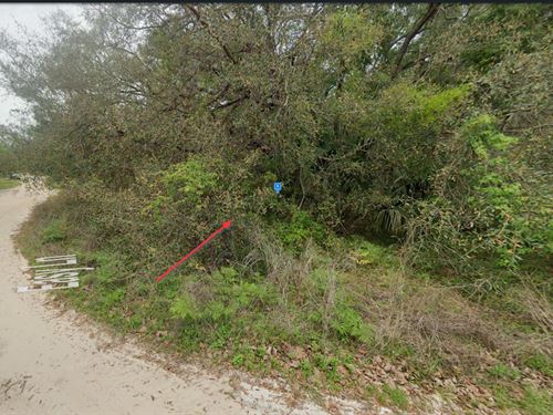 Lot 0.31 Acre in Satsuma, FL $317/M : Satsuma : Putnam County : Florida