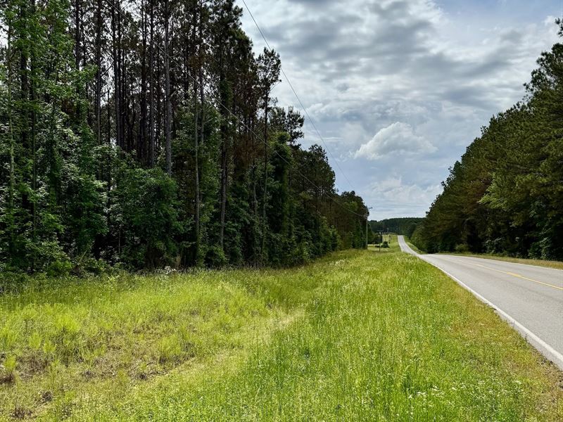 16.98 Acres in Winston County, MS : Preston : Winston County : Mississippi
