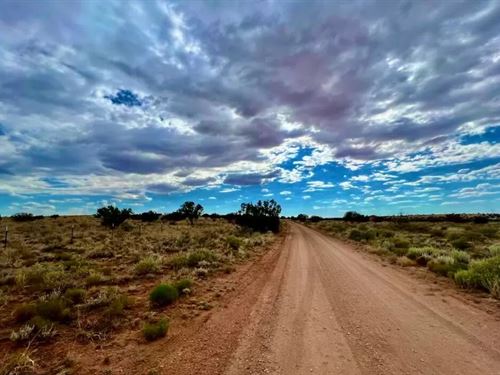 Desert Dreamland, RV Pad $550/M : Snowflake : Navajo County : Arizona