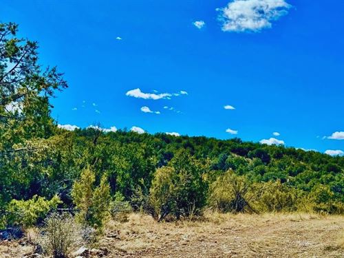 Corner Lot, Access, & Trees $125/Mo : Seligman : Yavapai County : Arizona