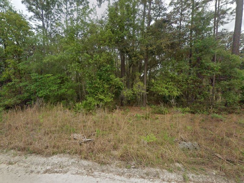 Summer Land Sale, $99 Down : Pomona Park : Putnam County : Florida