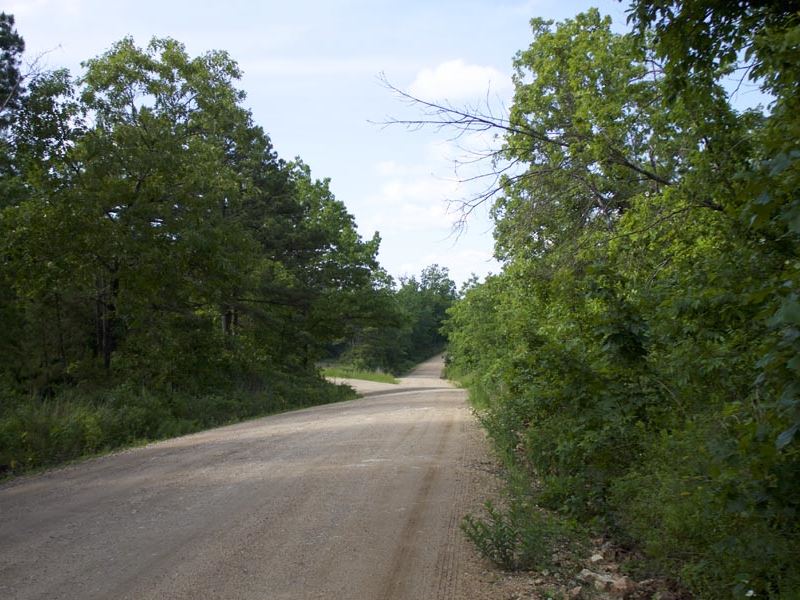 $999 Down/No Credit Check : Birch Tree : Shannon County : Missouri