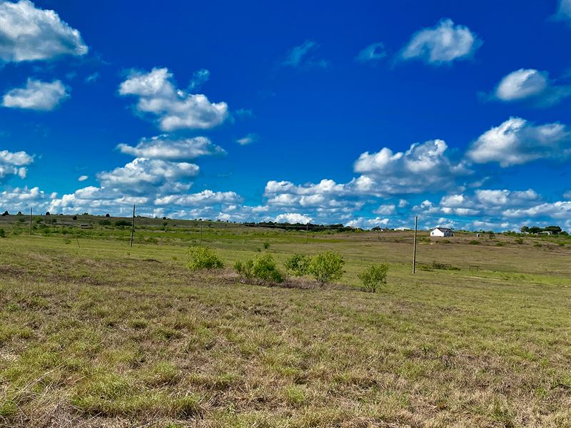 4+ Acre Homestead Near Austin : Beyersville : Williamson County : Texas