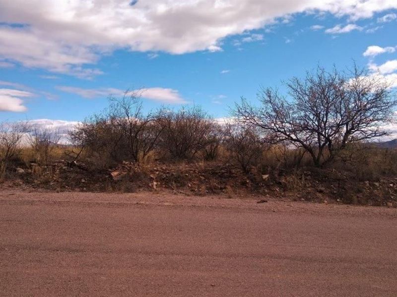 Perfectly Sized Home Site : Rio Rico : Santa Cruz County : Arizona