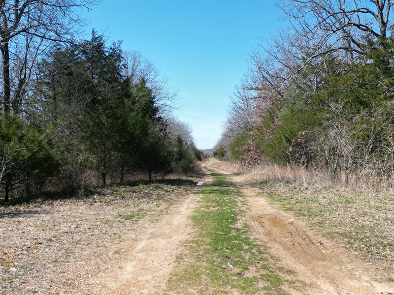 Easy AR Land, 0.52 Acre, $97 Down : Horseshoe Bend : Izard County : Arkansas