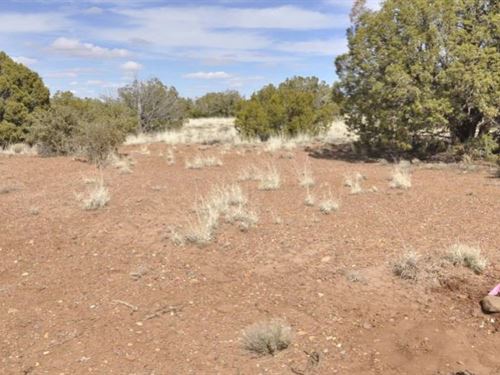 Convenient Access Living $125-250/M : Snowflake : Navajo County : Arizona