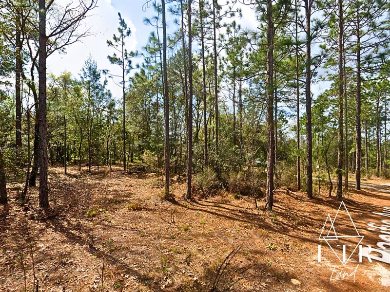 Your Next Big Adventure Starts Here : Interlachen : Putnam County : Florida